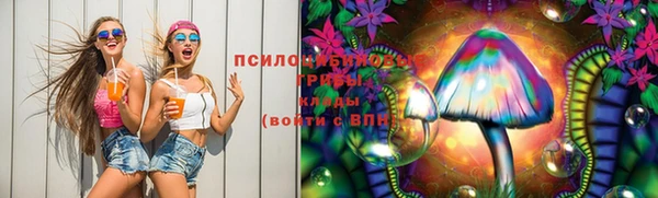 мяу мяу мука Гусев