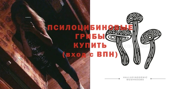 мяу мяу мука Гусев