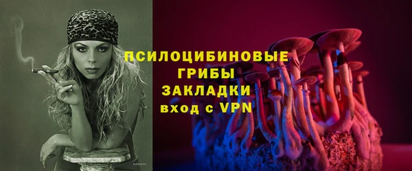 мяу мяу мука Гусев