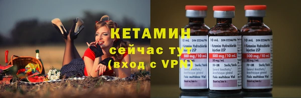 твердый Гусь-Хрустальный
