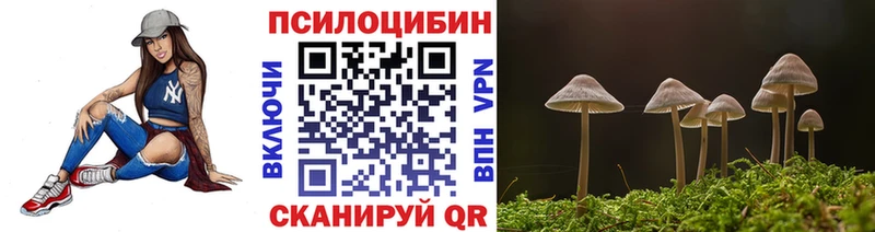 Галлюциногенные грибы Psilocybine cubensis  Купить закладки  Княгинино 